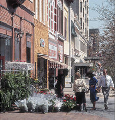 picture of storefront