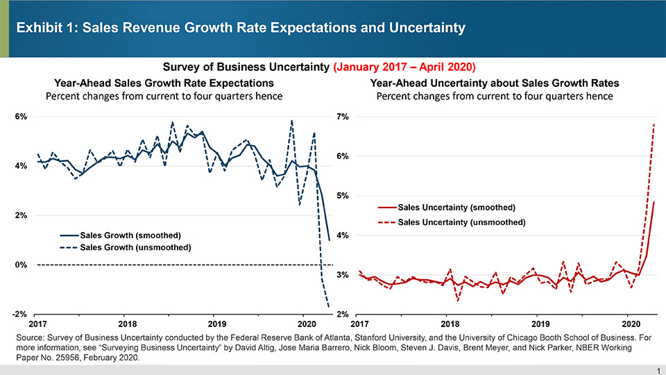 Exhibit 1: Sales Revenue Growth Rate Expectations and Uncertainty