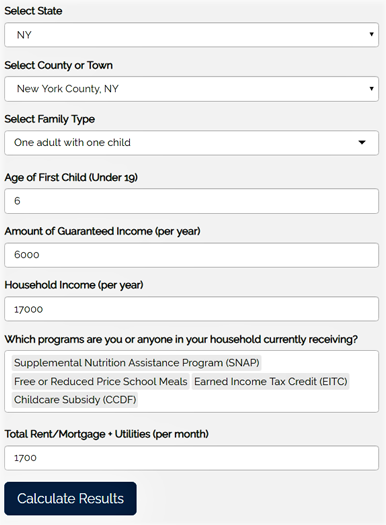 TAYportunity Guaranteed Income Program