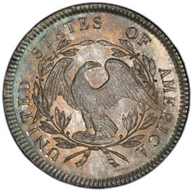 Flowing Hair Silver Dollar back