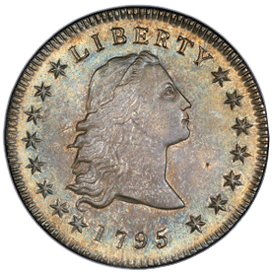 Flowing Hair Silver Dollar