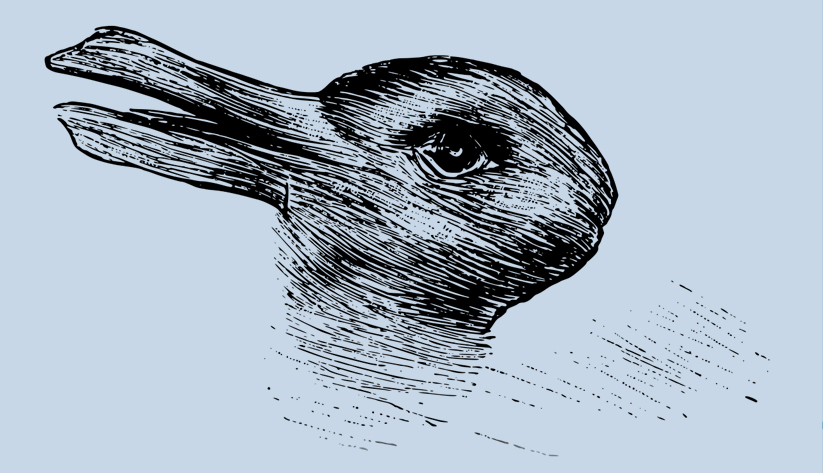 rabbit-or-duck