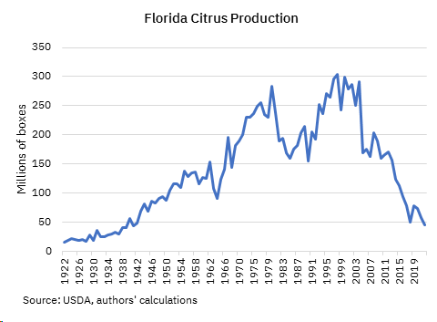 Citrus production in Florida continues to decline