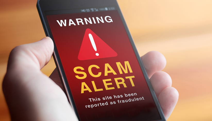 a hand holding a phone displaying a warning scam alert message