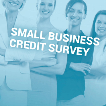 photo of women and small business credit survey