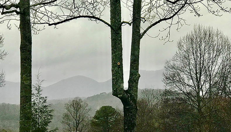 A view from the top in Young Harris, Georgia