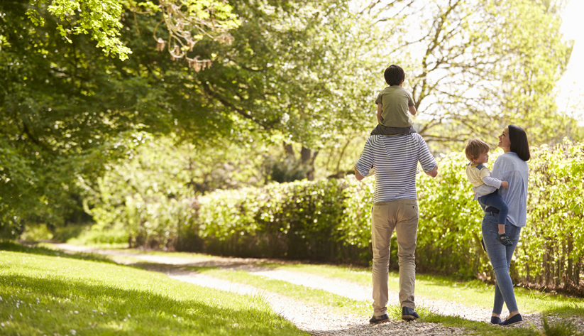 family of four walking in the park