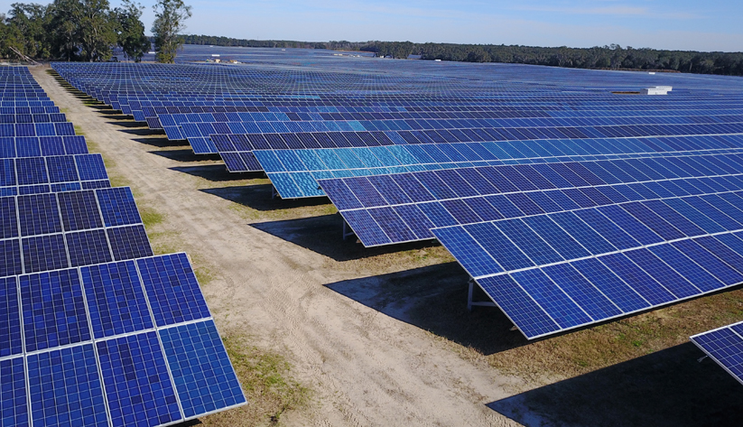grid of solar panels