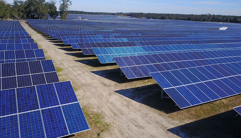 rows of solar panels on the ground
