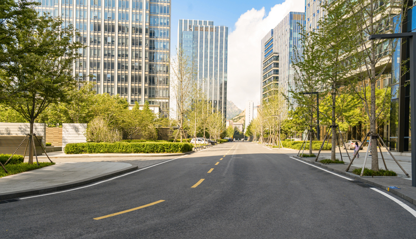empty tree lined city street