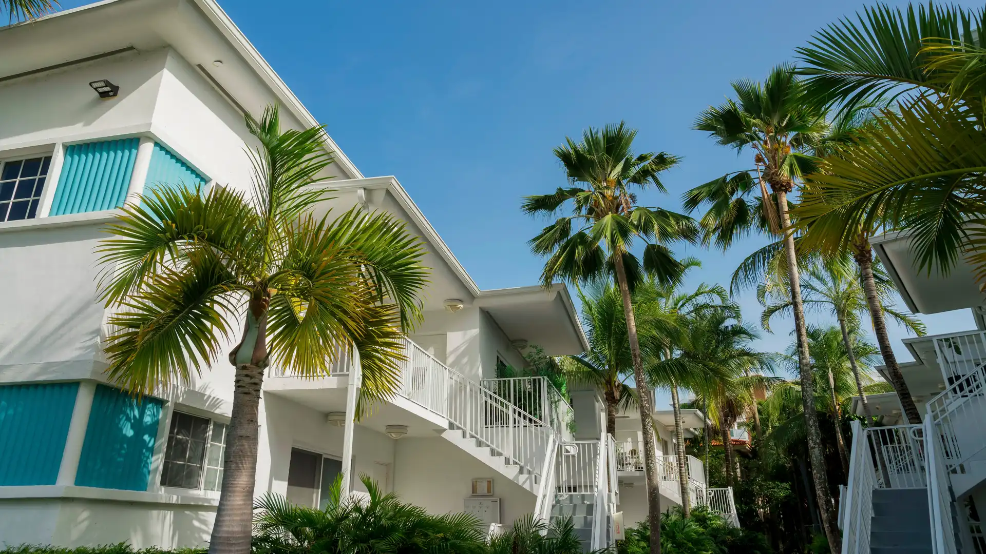 Condos in Florida with blue skies and palm trees