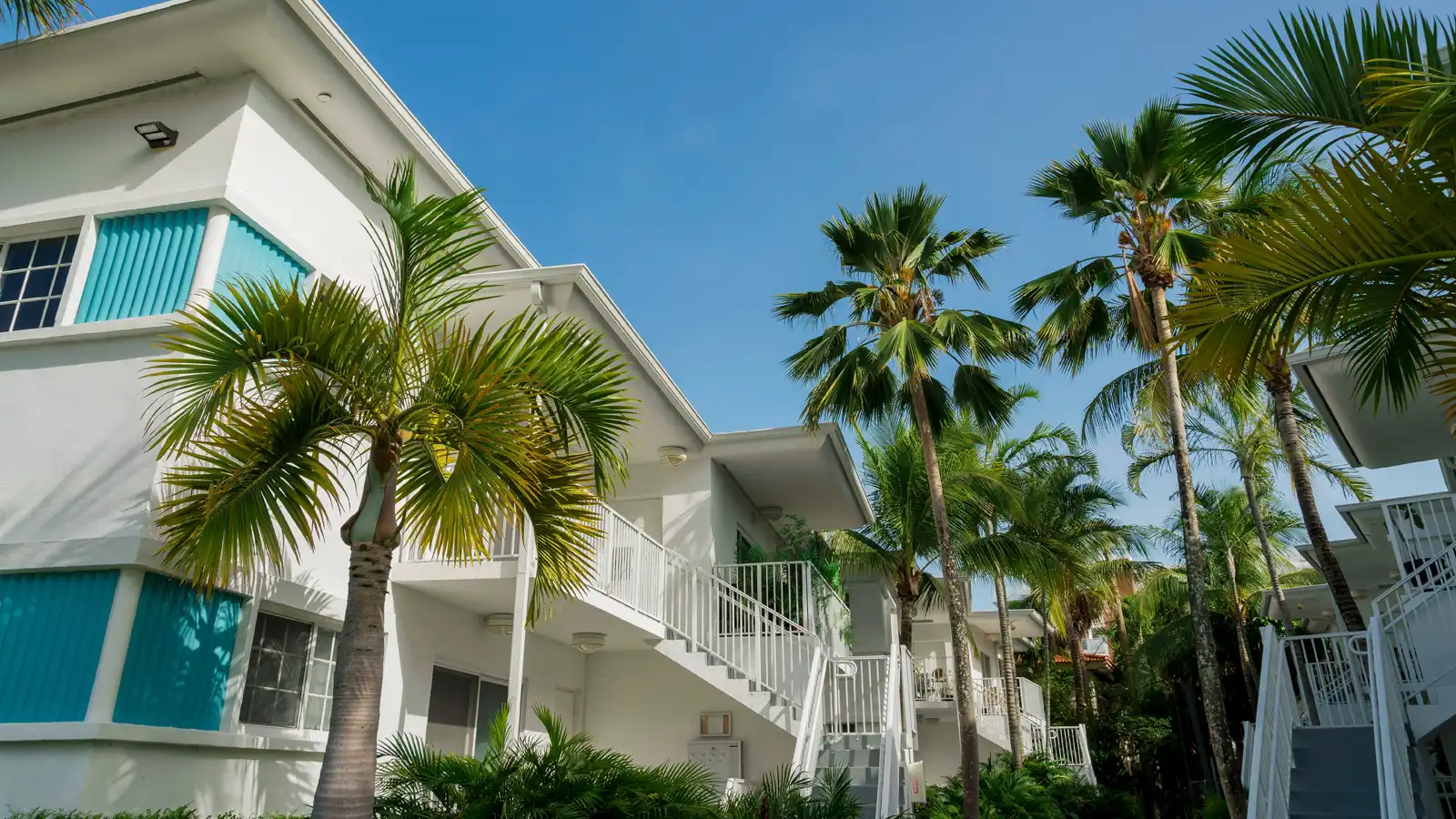 Condos in Florida with blue skies and palm trees