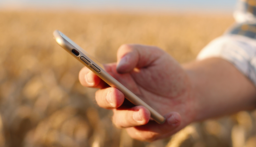 hand holding mobile phone with field background