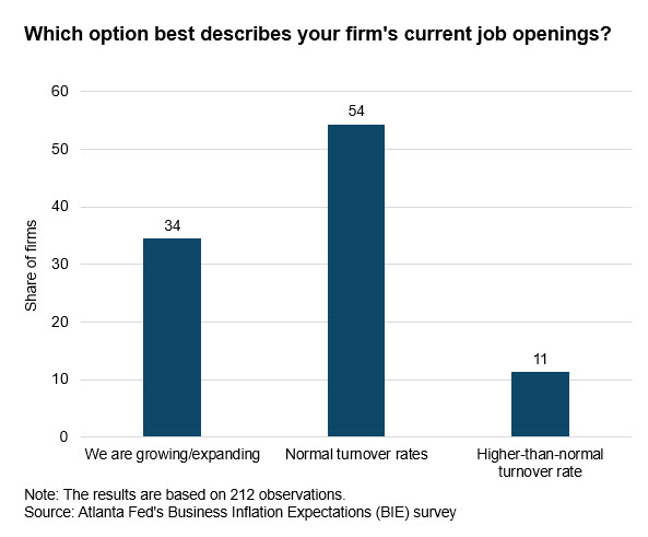 Business Inflation Expectations - June 2024 - Chart 5