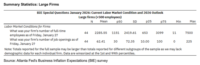 Business Inflation Expectations - January 2026 - Summary Statistics: Large Firms