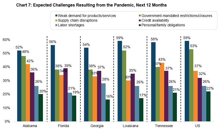 chart 7: expected challenges resulting from the pandemic, next 12 months