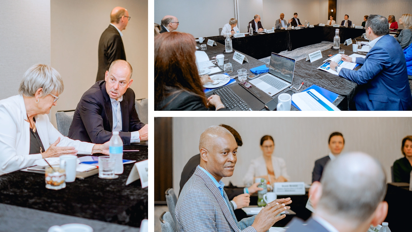 Collage of Travel and Tourism council members