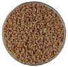 dried grain